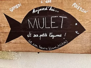 LE SAMEDI C'EST... POISSON ! 🐟

Allez, allez, samedi midi on goûte et on savoure le poisson du jour 🍽️😋🍽️ 

Ce samedi 13 juillet, le beurre sera...